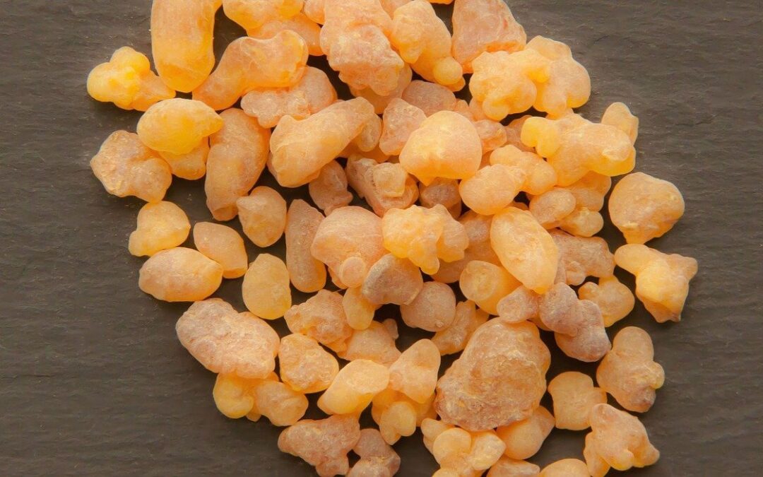 Boswellia : Le remède miracle contre le cancer ? Et bien d’autres maux