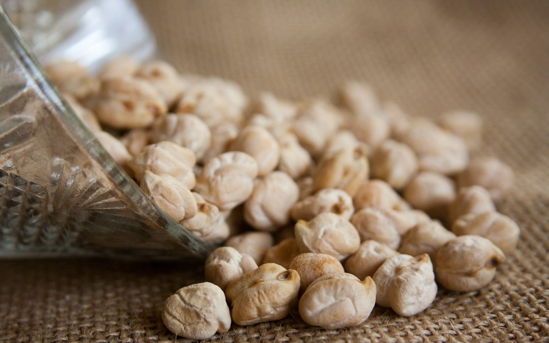 Que sont les glucides fibreux ?