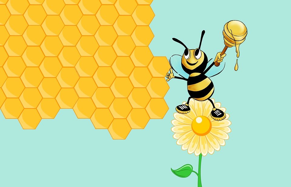Découvrir les bienfaits des produits de la ruche