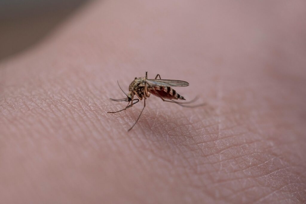 produit antiparasitaire