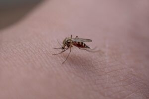 produit antiparasitaire